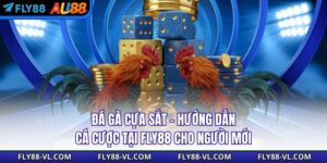 Đá Gà Cựa Sắt - Hướng Dẫn Cá Cược Tại Fly88 Cho Người Mới